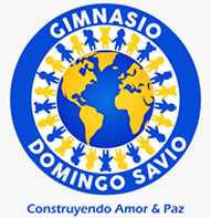 GIMNASIO DOMINGO SAVIO